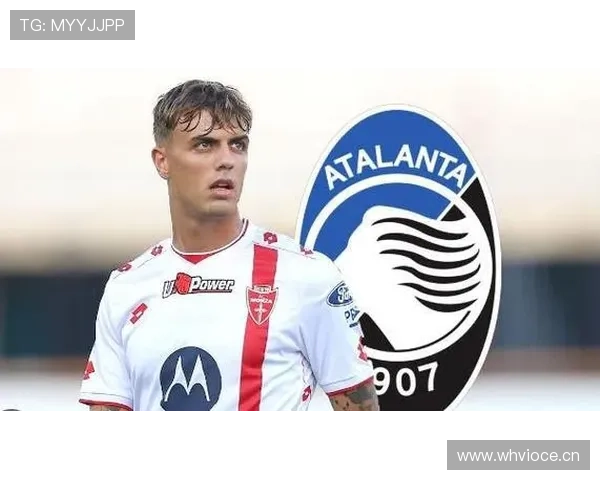 马尔蒂尼技术演变